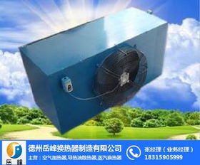 新鄉(xiāng)導熱油暖風機 岳峰換熱器直銷廠家 導熱油暖風機廠家